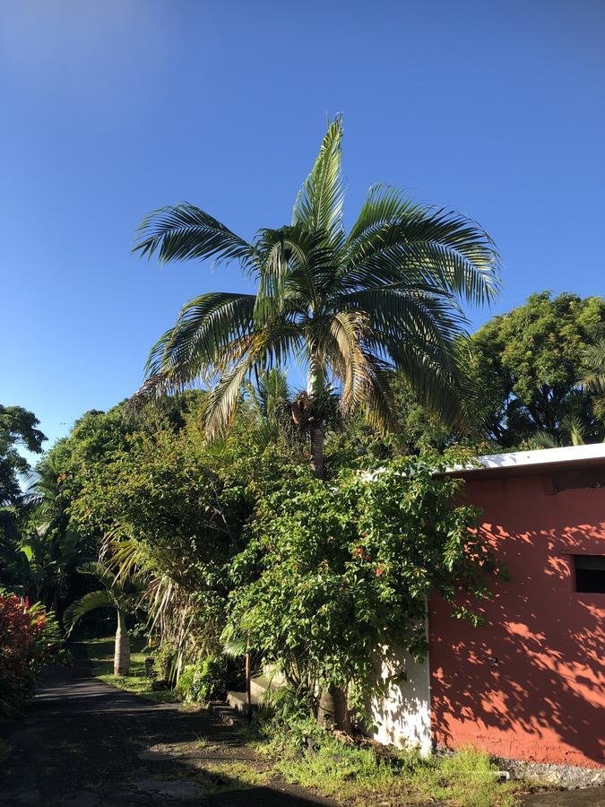 Bed and Breakfast Matilona Sainte-Rose Esterno foto
